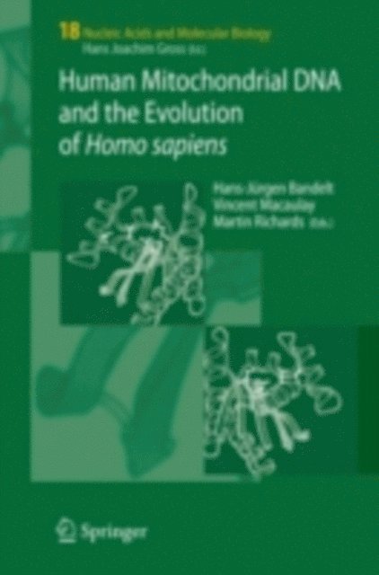 Vincent Macaulay, Martin Richards, Hans-Jurgen Bandelt - Human Mitochondrial DNA and the Evolution of Homo sapiens, E-bok