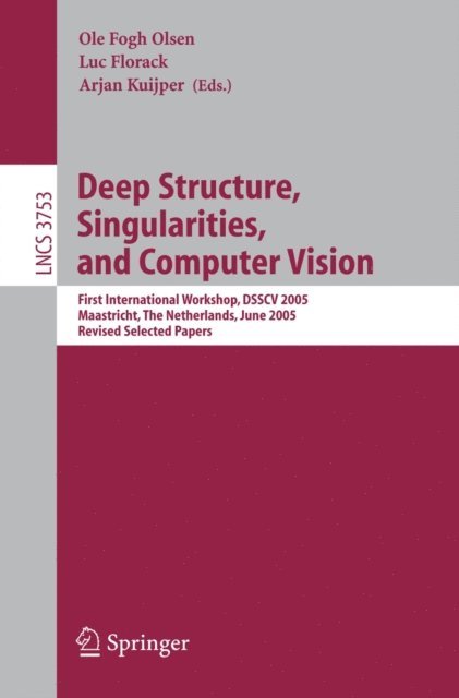 Arjan Kuijper, Luc Florack, Ole Fogh Olsen - Deep Structure, Singularities, and Computer Vision, E-bok