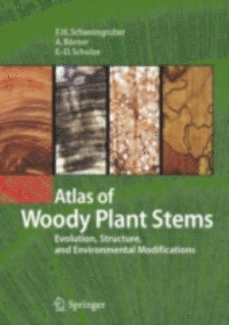 Ernst-Detlef Schulze, Annett Borner, Fritz Hans Schweingruber - Atlas of Woody Plant Stems, E-bok