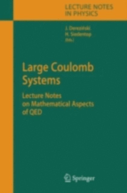 Heinz Siedentop, Jan Derezinski - Large Coulomb Systems, E-bok
