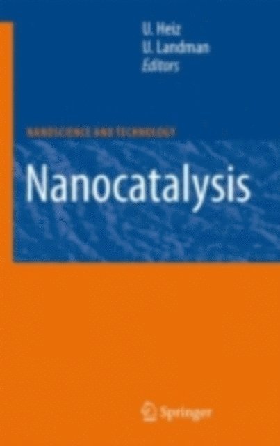 Uzi Landman, Ulrich Heiz - Nanocatalysis, E-bok