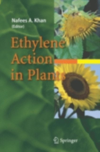 Nafees A. Khan - Ethylene Action in Plants, E-bok
