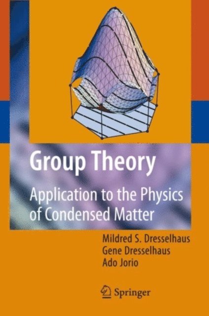 Ado Jorio, Gene Dresselhaus, Mildred S. Dresselhaus - Group Theory, E-bok