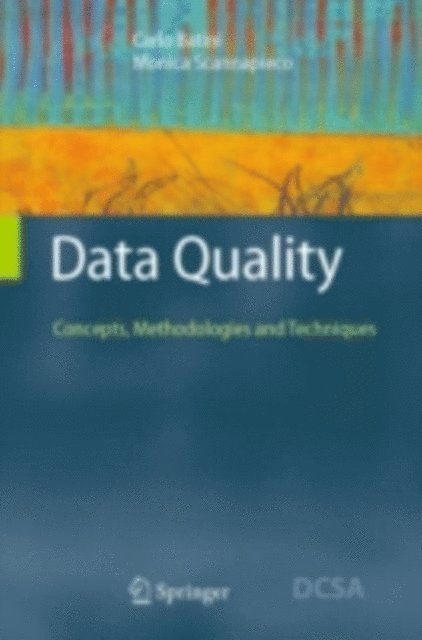 Monica Scannapieco, Carlo Batini - Data Quality, E-bok