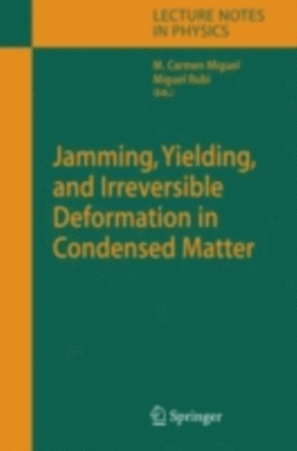 Miguel Rubi, Carmen Miguel - Jamming, Yielding, and Irreversible Deformation in Condensed Matter, E-bok