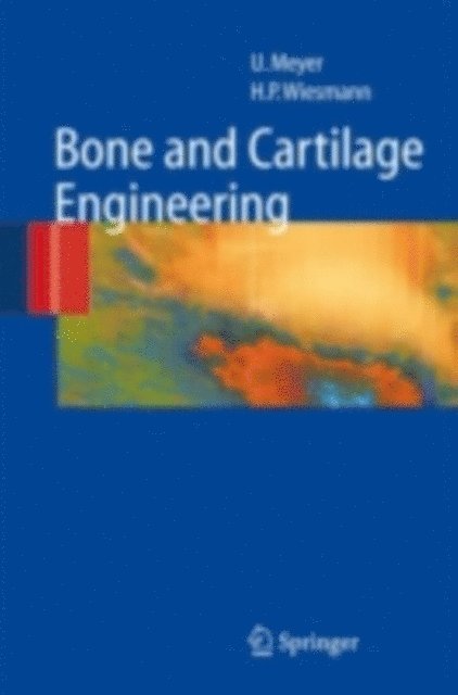 Hans Peter Wiesmann, Ulrich Meyer - Bone and Cartilage Engineering, E-bok