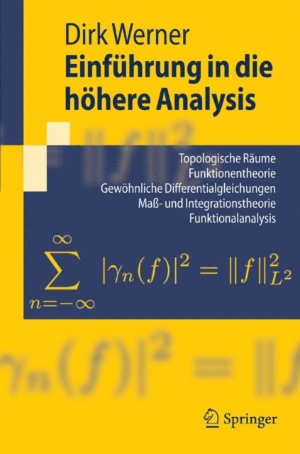 Dirk Werner - Einführung in die höhere Analysis, E-bok