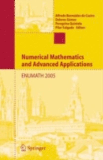 Pilar Salgado, Peregrina Quintela, Dolores Gomez, Alfredo Bermudez de Castro - Numerical Mathematics and Advanced Applications, E-bok