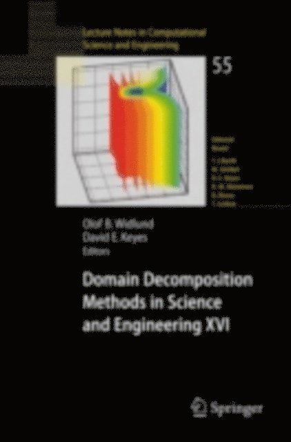 David E. Keyes, Olof Widlund - Domain Decomposition Methods in Science and Engineering XVI, E-bok
