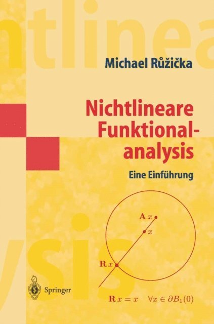 Michael Ruzicka - Nichtlineare Funktionalanalysis, E-bok
