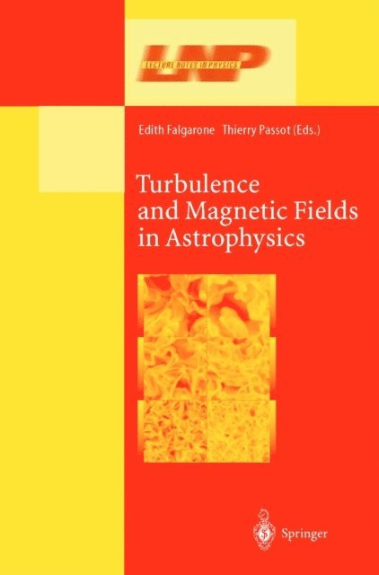 Thierry Passot, Edith Falgarone - Turbulence and Magnetic Fields in Astrophysics, E-bok