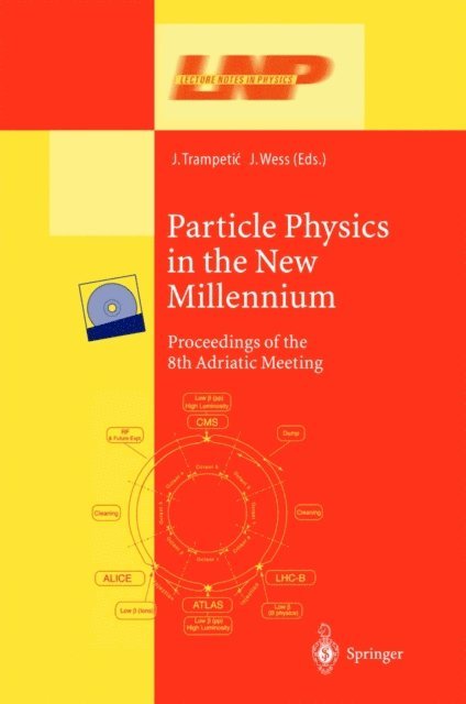 Julius Wess, Josip Trampetic - Particle Physics in the New Millennium, E-bok
