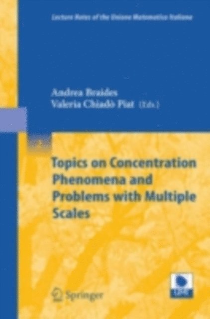 Valeria Chiado Piat, Andrea Braides - Topics on Concentration Phenomena and Problems with Multiple Scales, E-bok