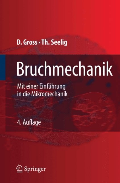 Dietmar Gross - Bruchmechanik, E-bok