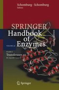 Class 2 Transferases III