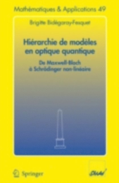 Brigitte Bidegaray-Fesquet - Hiérarchie de modèles en optique quantique, E-bok