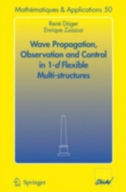 Enrique Zuazua, Rene Dager - Wave Propagation, Observation and Control in 1-d Flexible Multi-Structures, E-bok