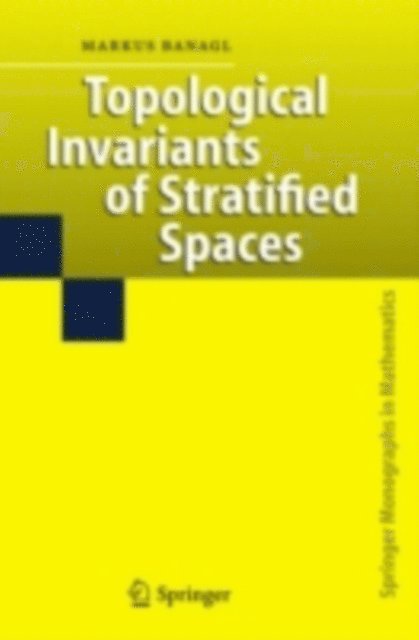 Markus Banagl - Topological Invariants of Stratified Spaces, E-bok