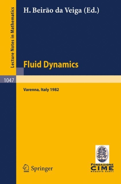 H. Beirao da Veiga - Fluid Dynamics, E-bok
