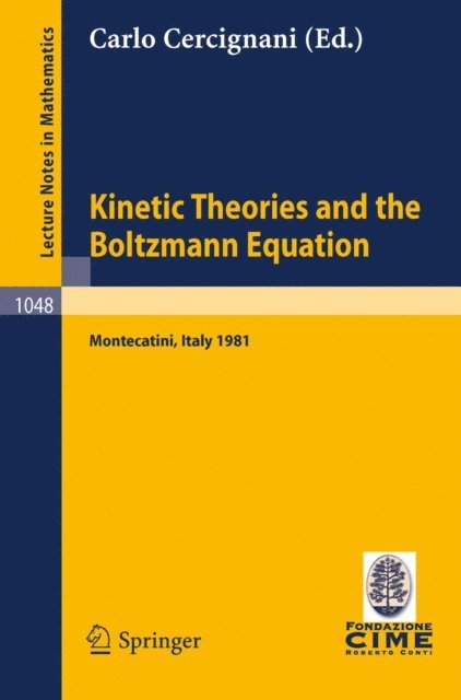 C. Cercignani - Kinetic Theories and the Boltzmann Equation, E-bok