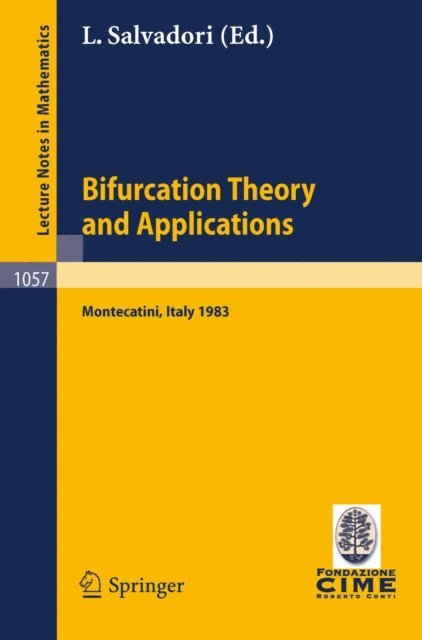 L. Salvadori - Bifurcation Theory and Applications, E-bok