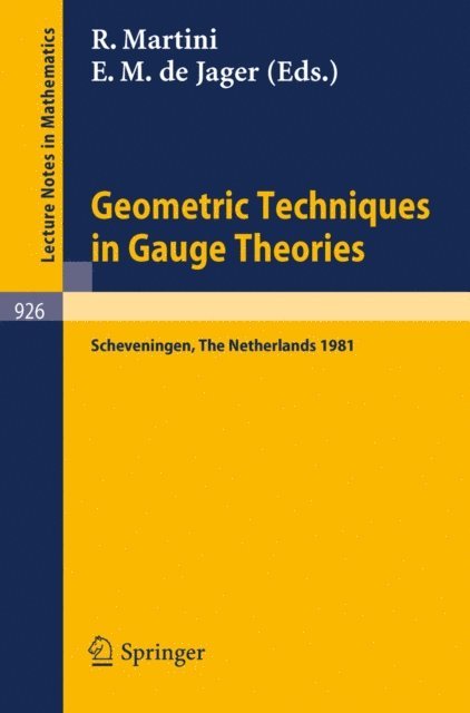 E.M. de Jager, R. Martini - Geometric Techniques in Gauge Theories, E-bok