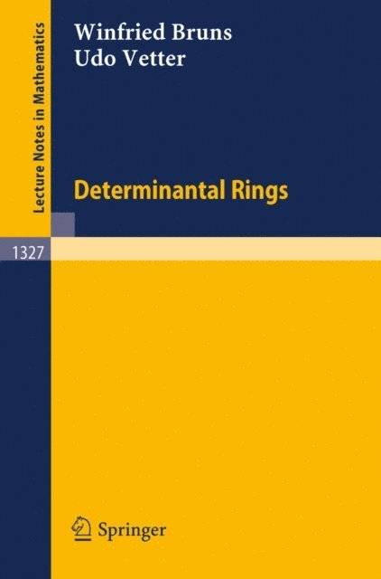 Udo Vetter, Winfried Bruns - Determinantal Rings, E-bok