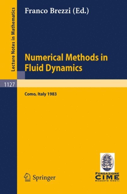 Franco Brezzi - Numerical Methods in Fluid Dynamics, E-bok