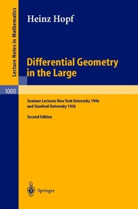 Differential Geometry in the Large