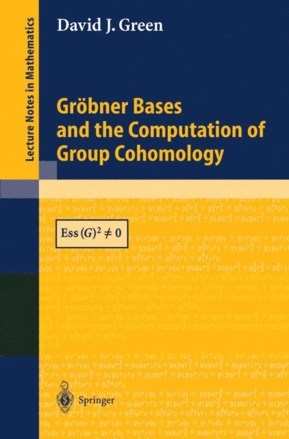 David J. Green - Grobner Bases and the Computation of Group Cohomology, E-bok