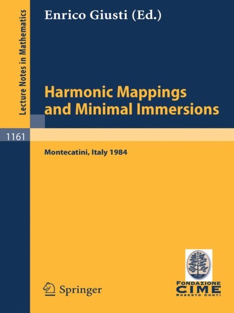 Enrico Giusti - Harmonic Mappings and Minimal Immersion, E-bok