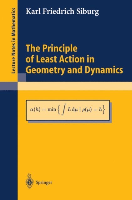 Karl Friedrich Siburg - Principle of Least Action in Geometry and Dynamics, E-bok