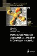Mathematical Modeling and Numerical Simulation in Continuum Mechanics