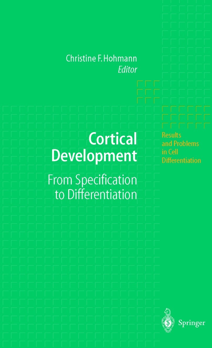 Cortical Development