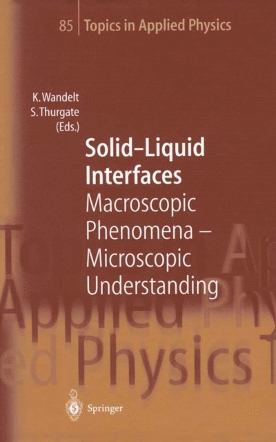 Stephen Thurgate, Klaus Wandelt - Solid-Liquid Interfaces, E-bok