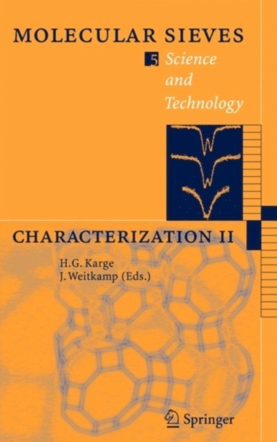 Jens Weitkamp, Hellmut G. Karge - Characterization II, E-bok