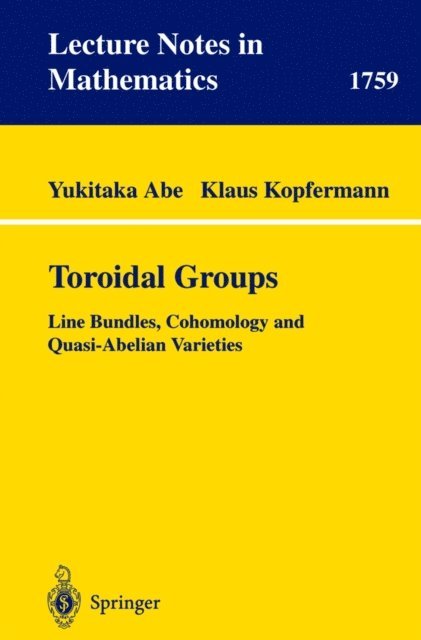 Klaus Kopfermann, Yukitaka Abe - Toroidal Groups, E-bok
