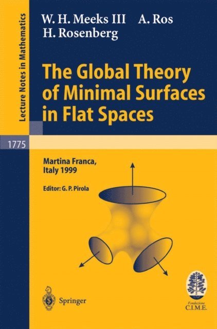 H. Rosenberg, A. Ros, W.H. III Meeks, Gian P. Pirola - Global Theory of Minimal Surfaces in Flat Spaces, E-bok