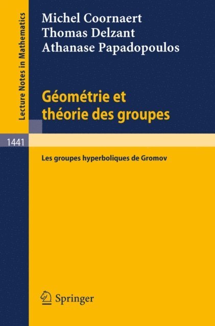 Athanase Papadopoulos, Thomas Delzant, Michel Coornaert - Geometrie et theorie des groupes, E-bok