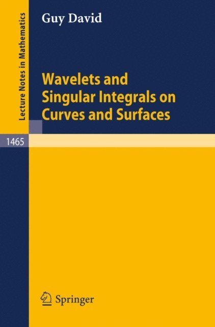 Guy David - Wavelets and Singular Integrals on Curves and Surfaces, E-bok