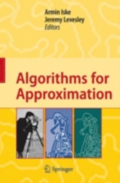 Jeremy Levesley, Armin Iske - Algorithms for Approximation, E-bok