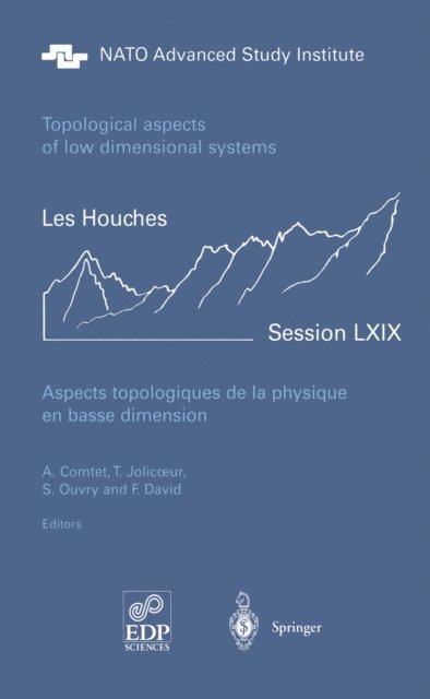 F. David, S. Ouvry, T. Jolicoeur, A. Comtet - Aspects topologiques de la physique en basse dimension. Topological aspects of low dimensional systems, E-bok