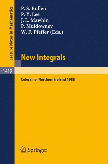 Washek F. Pfeffer, Patrick Muldowney, Jean L. Mawhin, Peng Yee Lee, Peter S. Bullen - New Integrals, E-bok