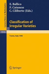 Classification of Irregular Varieties