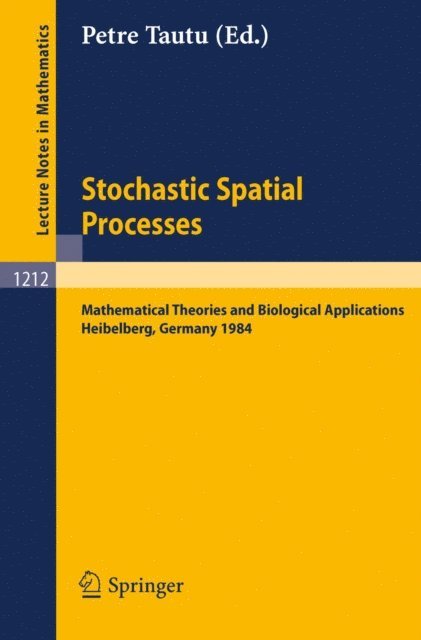 Petre Tautu - Stochastic Spatial Processes, E-bok