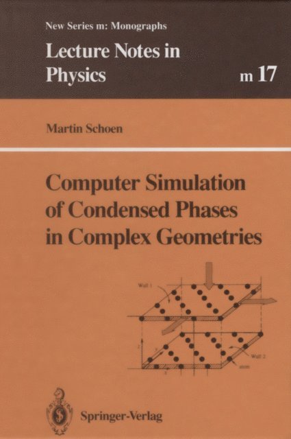 Martin Schoen - Computer Simulation of Condensed Phases in Complex Geometries, E-bok