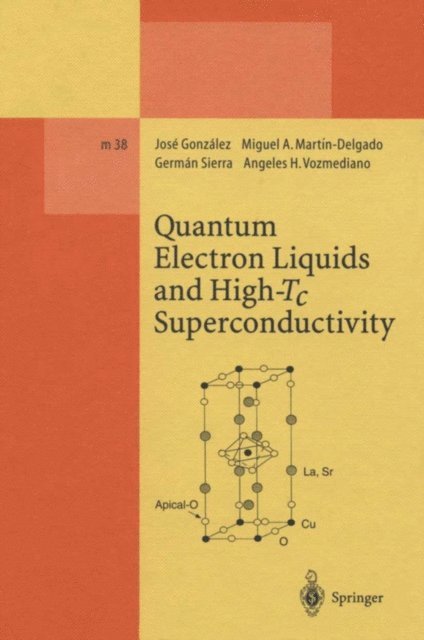 Angeles H. Vozmediano, German Sierra, Miguel A. Martin-Delgado, Jose Gonzalez - Quantum Electron Liquids and High-Tc Superconductivity, E-bok