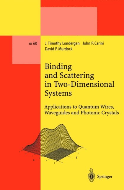 David P. Murdock, John P. Carini, J. Timothy Londergan - Binding and Scattering in Two-Dimensional Systems, E-bok