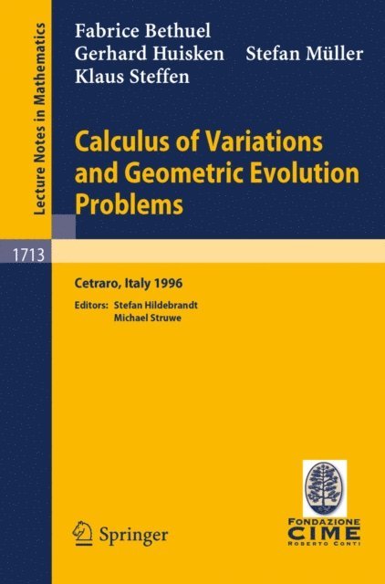 K. Steffen, S. Mueller, G. Huisken, F. Bethuel, M. Struwe, S. Hildebrandt - Calculus of Variations and Geometric Evolution Problems, E-bok