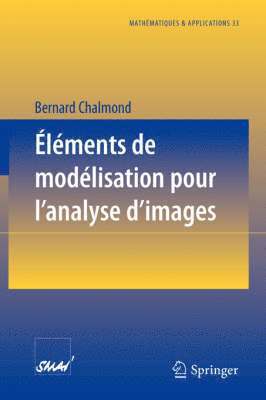 Bernard Chalmond - Éléments de modélisation pour l'analyse d'images, Häftad. Tillgänglighet: Lägg i varukorg